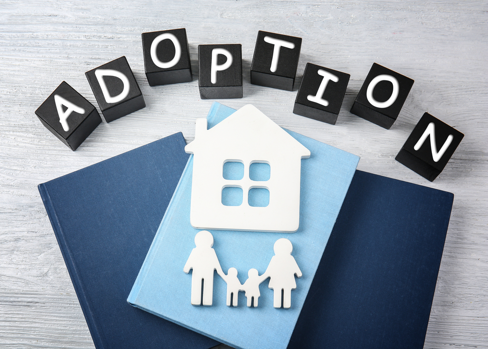 Different Types of Adoption Beatriz Zyne P.A